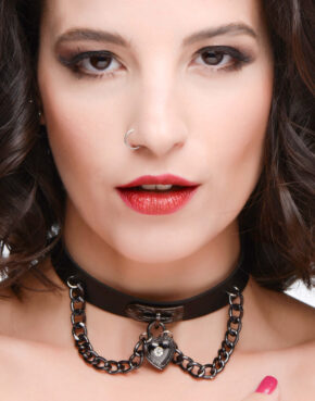 Låsen til mit hjerte halsbånd