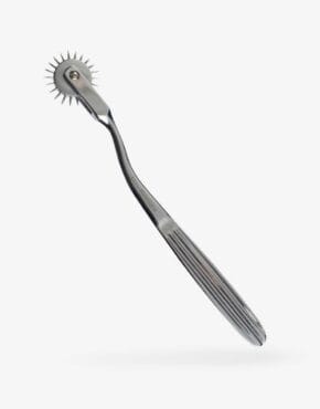 Klejnespore Pinwheel-0