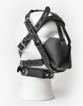Hoved harness med mundkurv og ball gag